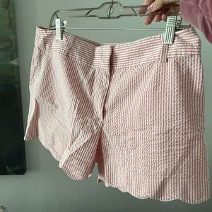 Loft size 8 pink and white seersucker scallop leg short